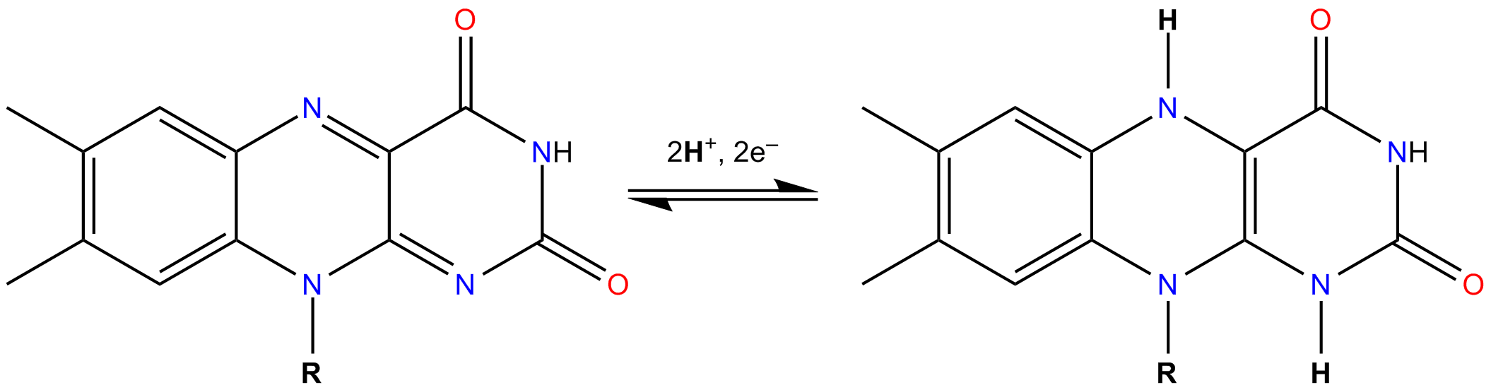 Chemical structures showing the redox equilibrium between FAD (oxidized) and FADH2 (reduced), with the isoalloxazine ring system highlighted