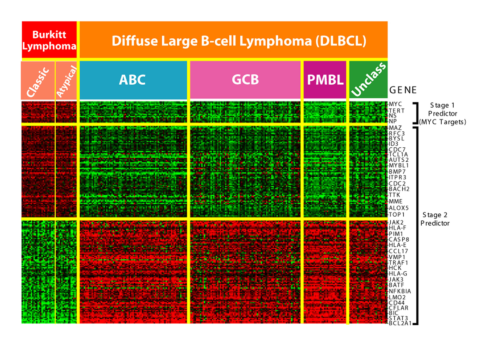 DNA microarray output