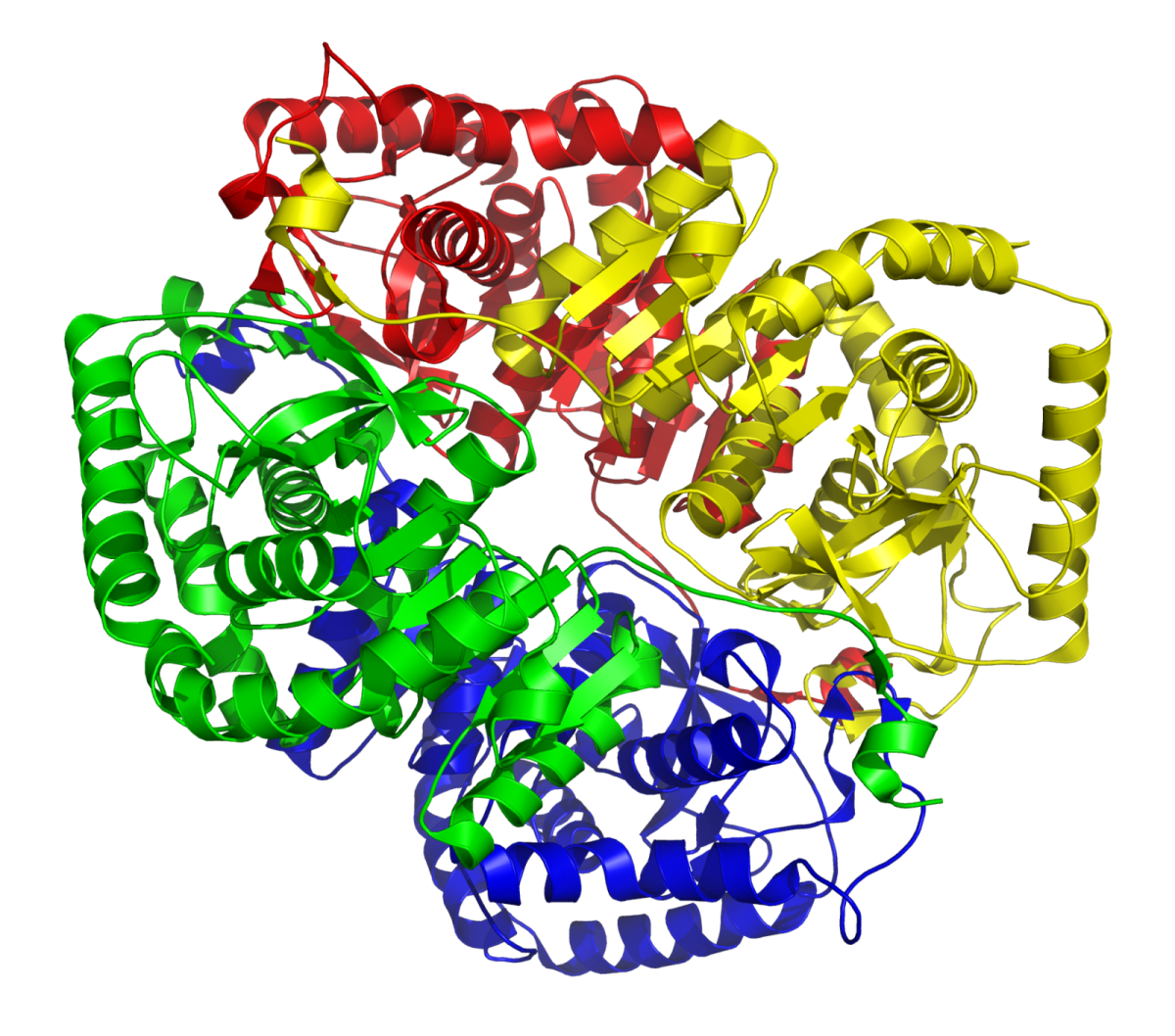 LDH M4 molecular structure